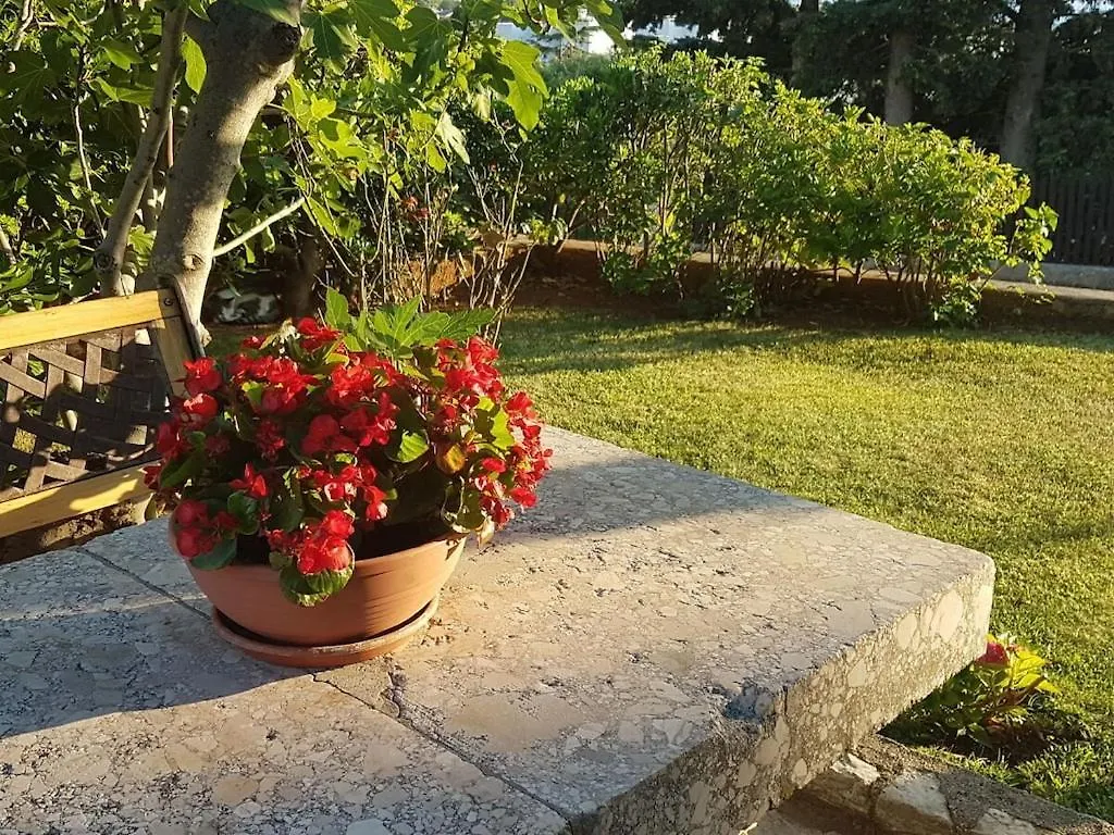 Holiday Apartment In Punat With Swimming Pool Croatia
