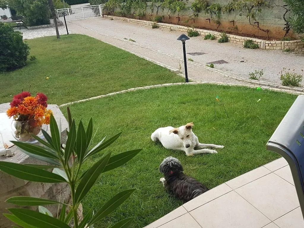 Holiday Apartment In Punat With Swimming Pool Nyaraló